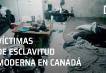 Video: Migrantes mexicanos explotados en Canadá, víctimas de esclavitud