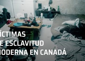 Video: Migrantes mexicanos explotados en Canadá, víctimas de esclavitud