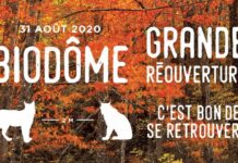 El Biodôme reabrirá sus puertas el 31 de agosto