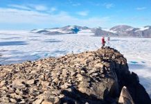 Colapsa la última plataforma intacta de hielo en Canadá y forma un iceberg del tamaño de Manhattan