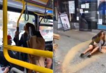 Canadá: Un hombre empuja de un bus a una mujer que le escupió en la cara