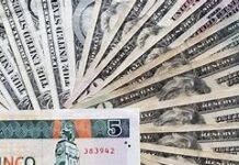 ¡WELCOME MR DOLLAR !