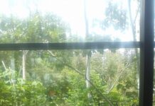 Por la niña que fuimos y la anciana que seremos