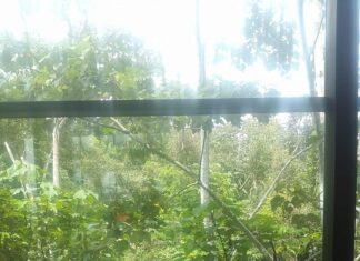 Por la niña que fuimos y la anciana que seremos