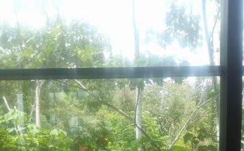 Por la niña que fuimos y la anciana que seremos