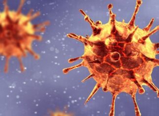 Canadá confirma la presencia de la variante británica del coronavirus