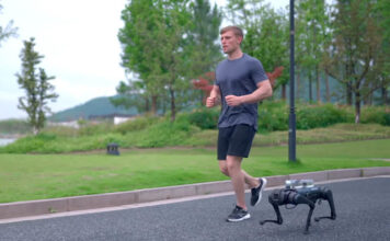 ¿Tu perro no te hace caso? Entonces es hora de tener un perro robot