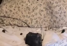 Canadá: meteorito cayó a centímetros de la cabeza de una mujer mientras dormía