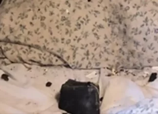 Canadá: meteorito cayó a centímetros de la cabeza de una mujer mientras dormía