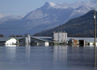 Canadá: Racionalizan la gasolina en Columbia Británica tras las fuertes inundaciones