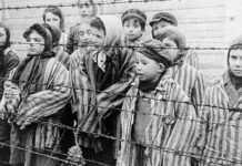 “Intentando comprender el mal” – Lisandro Prieto Femenía