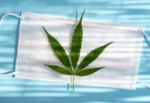 Quebec anuncia que no venderá marihuana ni alcohol a los no vacunados y con ello logró cuadruplicar índices de vacunación