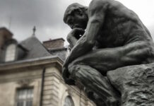 “¿La estupidez le ha ganado la batalla a la sensatez?” – Lisandro Prieto Femenía