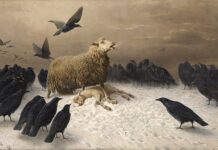 “Escarbando en la angustia que da sentido a la existencia”- Lisandro Prieto Femenía