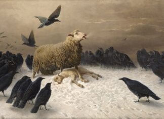 “Escarbando en la angustia que da sentido a la existencia”- Lisandro Prieto Femenía