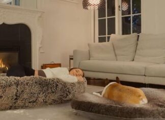 Canadá: Plufl, la primera cama de perros apta para humanos