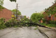 Canadá: Violenta tormenta eléctrica dejó al menos nueve muertos y miles sin luz