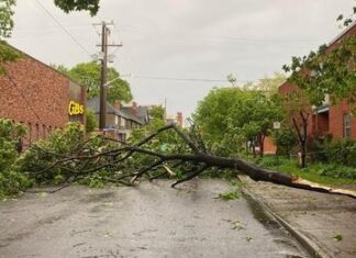 Canadá: Violenta tormenta eléctrica dejó al menos nueve muertos y miles sin luz