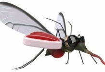 EL ÚLTIMO PICAYVUELA EN PIE