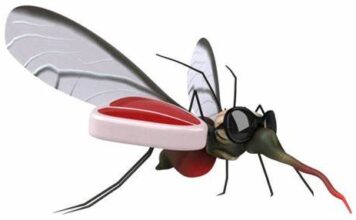 EL ÚLTIMO PICAYVUELA EN PIE