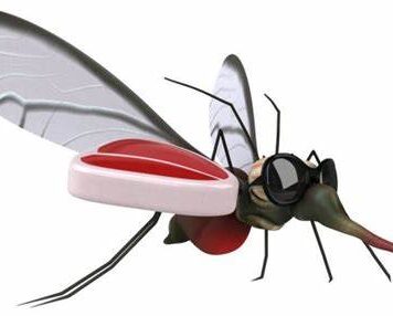 EL ÚLTIMO PICAYVUELA EN PIE