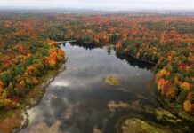 La ciudad de Saint-Jérôme en Quebec es el más verde de Canadá