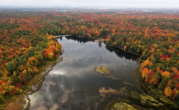 La ciudad de Saint-Jérôme en Quebec es el más verde de Canadá