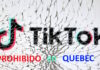 Diputados de Quebec borrarán TIKTOK de sus celulares