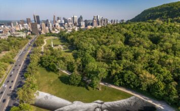 VIDEO: Festival MURAL de Montreal presenta gigantesca obra de arte en el Mont-Royal