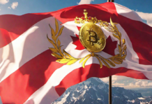 Canadá y su Papel en la Adopción de Criptomonedas: Una Visión General