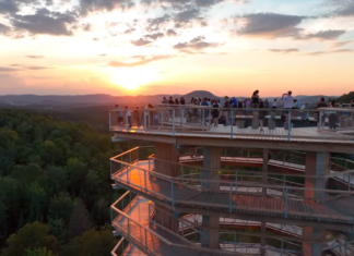 La atracción de ecoturismo más singular de Quebec: TreeTop Walk o Sentier de Cimes