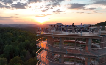 La atracción de ecoturismo más singular de Quebec: TreeTop Walk o Sentier de Cimes