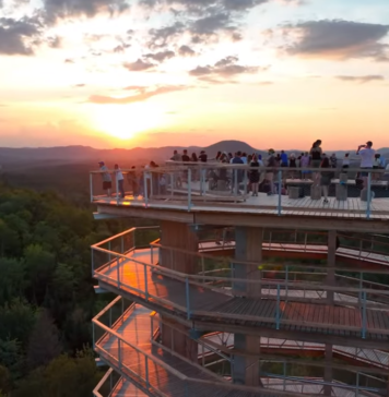 La atracción de ecoturismo más singular de Quebec: TreeTop Walk o Sentier de Cimes