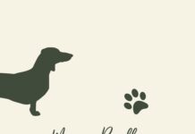 El perro que alcanzó el carro